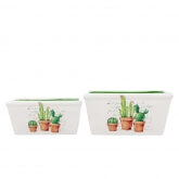 Set 2 Maceteros Cactus