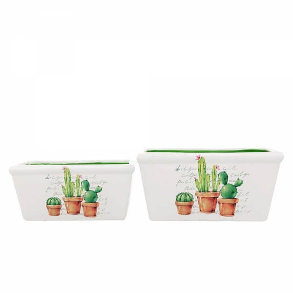 Set 2 Maceteros Cactus