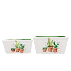 Set 2 Maceteros Cactus
