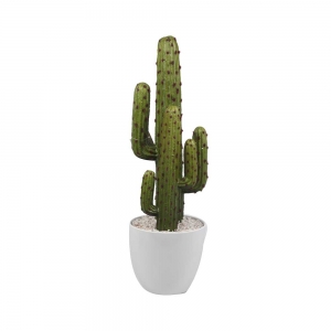Cactus Deco
