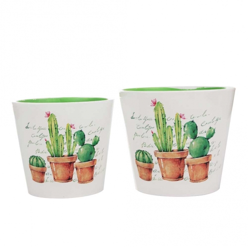 Set Maceteros Cactus