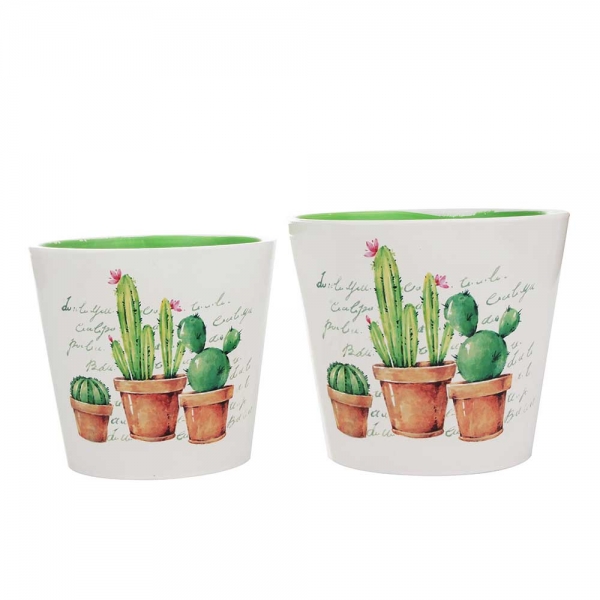Set Maceteros Cactus
