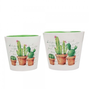 Set Maceteros Cactus