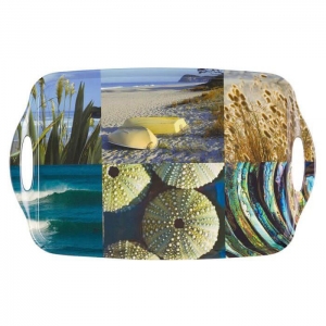 Coastal Sanpshot