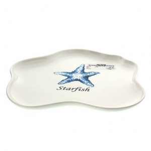 Plato Starfish