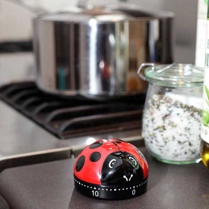 Timer Ladybug