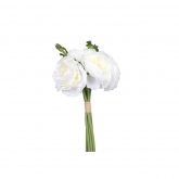 Ramo Blanco