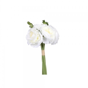 Ramo Blanco