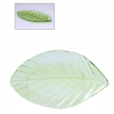 Fuente Hoja