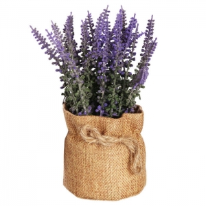Lavanda