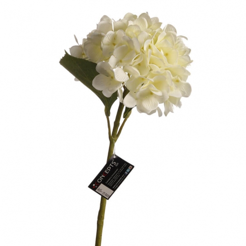 Hortensia Amarilla