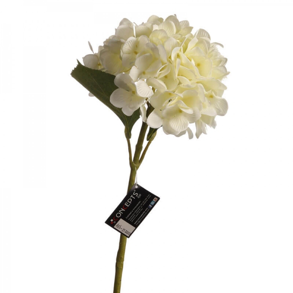 Hortensia Amarilla