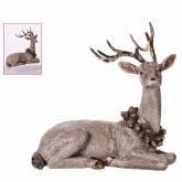 Venado Acostado