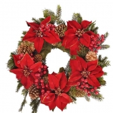 Corona Poinsettia