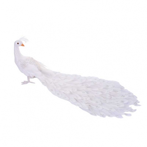 Pavo Real Blanco