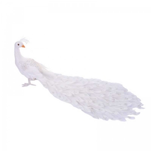 Pavo Real Blanco