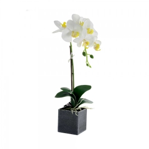 Flor Decorativa